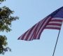Filename=SPN_0002.jpg
Filesize=66KiB
Dimensions=1280x720
Date added=Nov 15, 2012 SPN_0002.jpg
