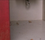 Filename=SPN_0043.jpg
Filesize=41KiB
Dimensions=1280x720
Date added=Nov 15, 2012 SPN_0043.jpg