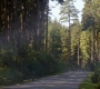 Filename=SPN_0048.jpg
Filesize=156KiB
Dimensions=1280x720
Date added=Nov 15, 2012 SPN_0048.jpg