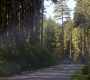 Filename=SPN_0049.jpg
Filesize=157KiB
Dimensions=1280x720
Date added=Nov 15, 2012 SPN_0049.jpg