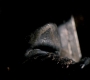 Filename=SPN_0068.jpg
Filesize=38KiB
Dimensions=1280x720
Date added=Nov 15, 2012 SPN_0068.jpg