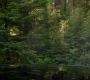 Filename=SPN_0086.jpg
Filesize=147KiB
Dimensions=1280x720
Date added=Nov 15, 2012 SPN_0086.jpg
