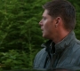 Filename=SPN_0089.jpg
Filesize=73KiB
Dimensions=1280x720
Date added=Nov 15, 2012 SPN_0089.jpg