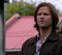 Filename=SPN_0096.jpg
Filesize=68KiB
Dimensions=1280x720
Date added=Nov 29, 2012 SPN_0096.jpg