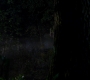 Filename=SPN_0072.jpg
Filesize=62KiB
Dimensions=1280x720
Date added=Dec 06, 2012 SPN_0072.jpg