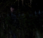 Filename=SPN_0073.jpg
Filesize=42KiB
Dimensions=1280x720
Date added=Dec 06, 2012 SPN_0073.jpg