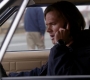 Filename=SPN_0093.jpg
Filesize=69KiB
Dimensions=1280x720
Date added=Dec 06, 2012 SPN_0093.jpg
