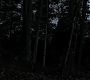 Filename=103TeenWolf1502.jpg
Filesize=86KiB
Dimensions=1280x720
Date added=Jul 05, 2011 103TeenWolf1502.jpg