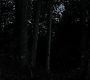 Filename=103TeenWolf1503.jpg
Filesize=73KiB
Dimensions=1280x720
Date added=Jul 05, 2011 103TeenWolf1503.jpg
