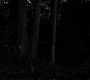 Filename=103TeenWolf1505.jpg
Filesize=65KiB
Dimensions=1280x720
Date added=Jul 05, 2011 103TeenWolf1505.jpg