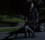 Filename=209TeenWolf1302.jpg
Filesize=90KiB
Dimensions=1280x720
Date added=Jul 28, 2012 209TeenWolf1302.jpg