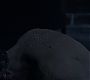 Filename=209TeenWolf1372.jpg
Filesize=51KiB
Dimensions=1280x720
Date added=Jul 28, 2012 209TeenWolf1372.jpg
