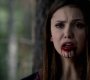 Filename=405VampireDiaries1146.jpg
Filesize=67KiB
Dimensions=1280x720
Date added=Nov 13, 2012 405VampireDiaries1146.jpg