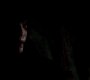 Filename=TVD_1872.jpg
Filesize=22KiB
Dimensions=1280x720
Date added=Sep 01, 2014 TVD_1872.jpg