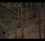 Filename=0437.jpg
Filesize=565KiB
Dimensions=1920x1080
Date added=Sep 12, 2022 0437.jpg