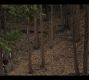 Filename=0438.jpg
Filesize=552KiB
Dimensions=1920x1080
Date added=Sep 12, 2022 0438.jpg