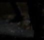 Filename=1183.jpg
Filesize=58KiB
Dimensions=1920x1080
Date added=Sep 12, 2022 1183.jpg