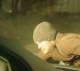 0403.jpg