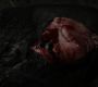 Filename=102GoT0996.jpg
Filesize=54KiB
Dimensions=1280x720
Date added=Jan 09, 2012 102GoT0996.jpg