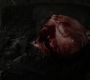 Filename=102GoT0997.jpg
Filesize=55KiB
Dimensions=1280x720
Date added=Jan 09, 2012 102GoT0997.jpg