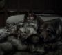 Filename=102GoT1000.jpg
Filesize=66KiB
Dimensions=1280x720
Date added=Jan 09, 2012 102GoT1000.jpg