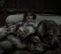 Filename=102GoT1001.jpg
Filesize=66KiB
Dimensions=1280x720
Date added=Jan 09, 2012 102GoT1001.jpg