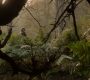 Filename=102GoT1539.jpg
Filesize=132KiB
Dimensions=1280x720
Date added=Jan 09, 2012 102GoT1539.jpg