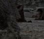 Filename=110GoT1299.jpg
Filesize=81KiB
Dimensions=1280x720
Date added=Feb 16, 2012 110GoT1299.jpg