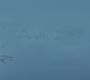 Filename=210GoT1399.jpg
Filesize=34KiB
Dimensions=1280x720
Date added=Jun 07, 2012 210GoT1399.jpg