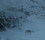 Filename=GOT_1774.jpg
Filesize=266KiB
Dimensions=1920x1080
Date added=May 20, 2019 GOT_1774.jpg