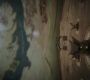 Filename=GoTS2Credits0103.jpg
Filesize=88KiB
Dimensions=1280x720
Date added=Apr 02, 2012 GoTS2Credits0103.jpg