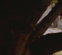 GG117-00290.jpg