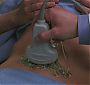Glee102-01030.jpg