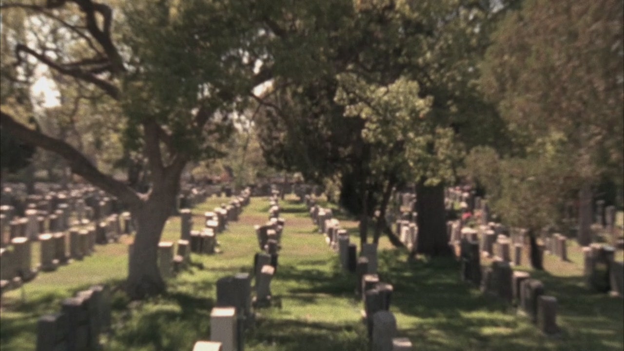 Glee203-00883.jpg