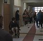 Glee213-0153.jpg