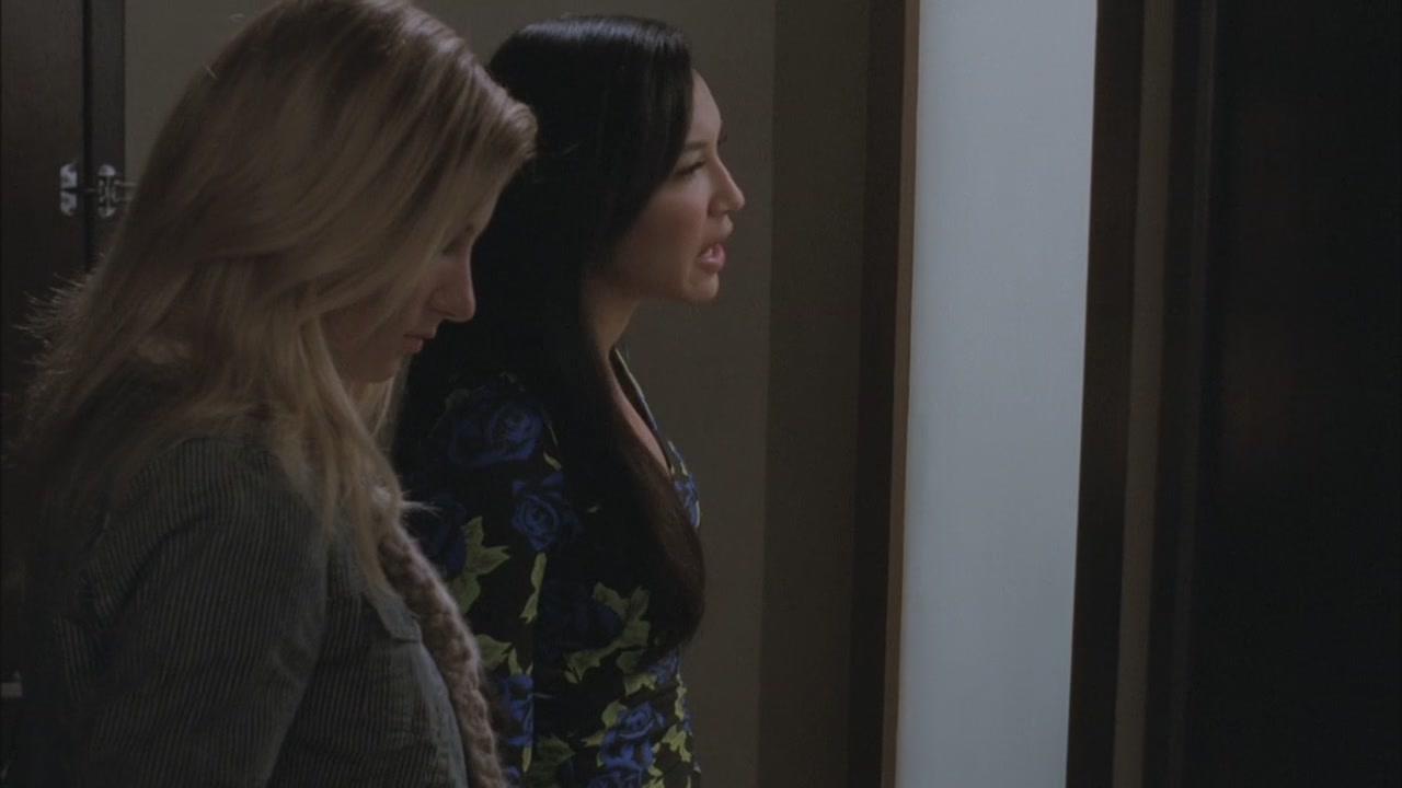 Glee222-0602.jpg