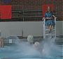 Filename=Glee310-01065.jpg
Filesize=90KiB
Dimensions=1280x720
Date added=Jan 18, 2012 Glee310-01065.jpg