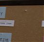 Glee405-0769.jpg