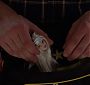 Filename=Glee407-1166.jpg
Filesize=102KiB
Dimensions=1920x1080
Date added=Jun 11, 2018 Glee407-1166.jpg
