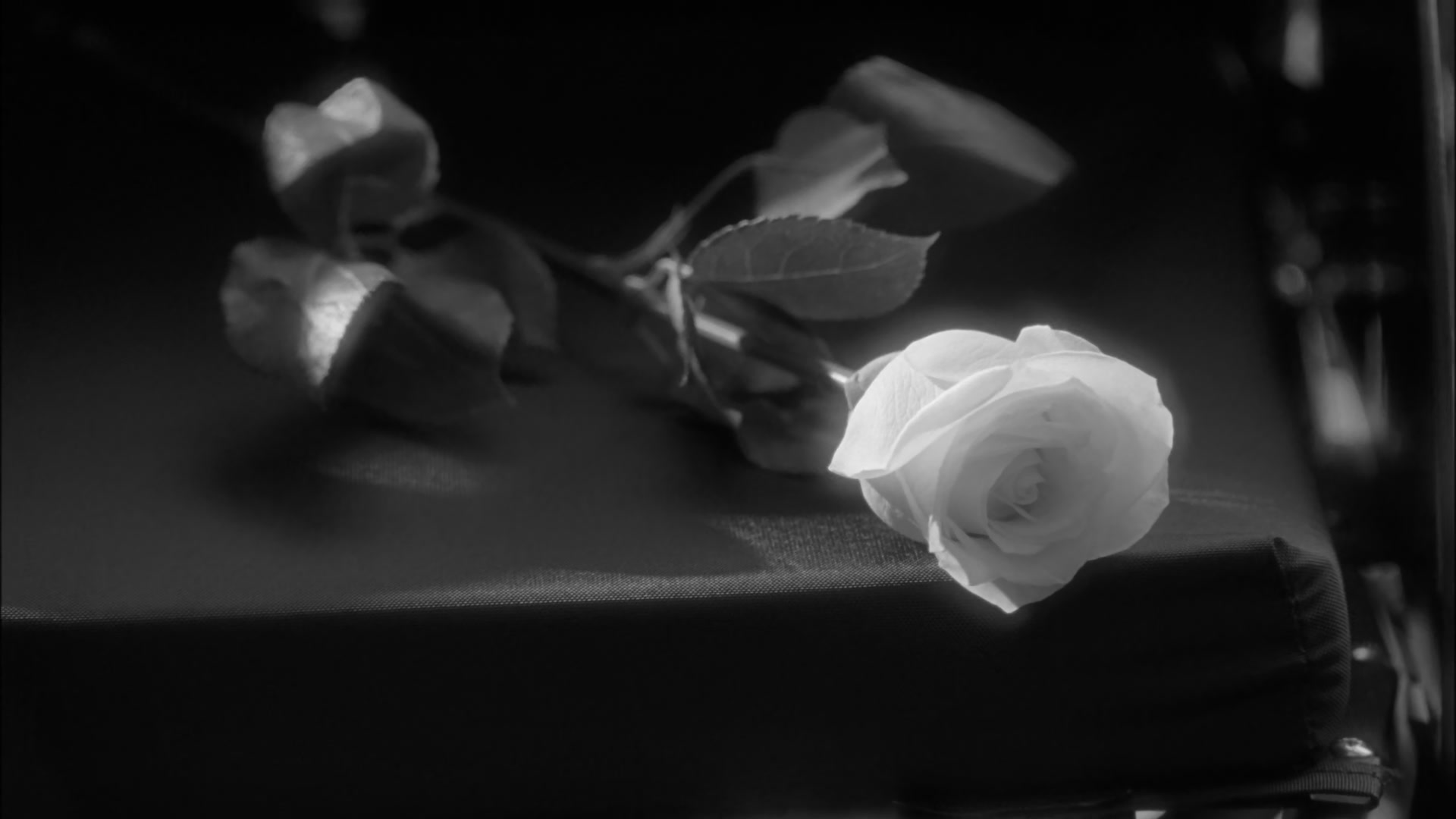 Glee410-0268.jpg