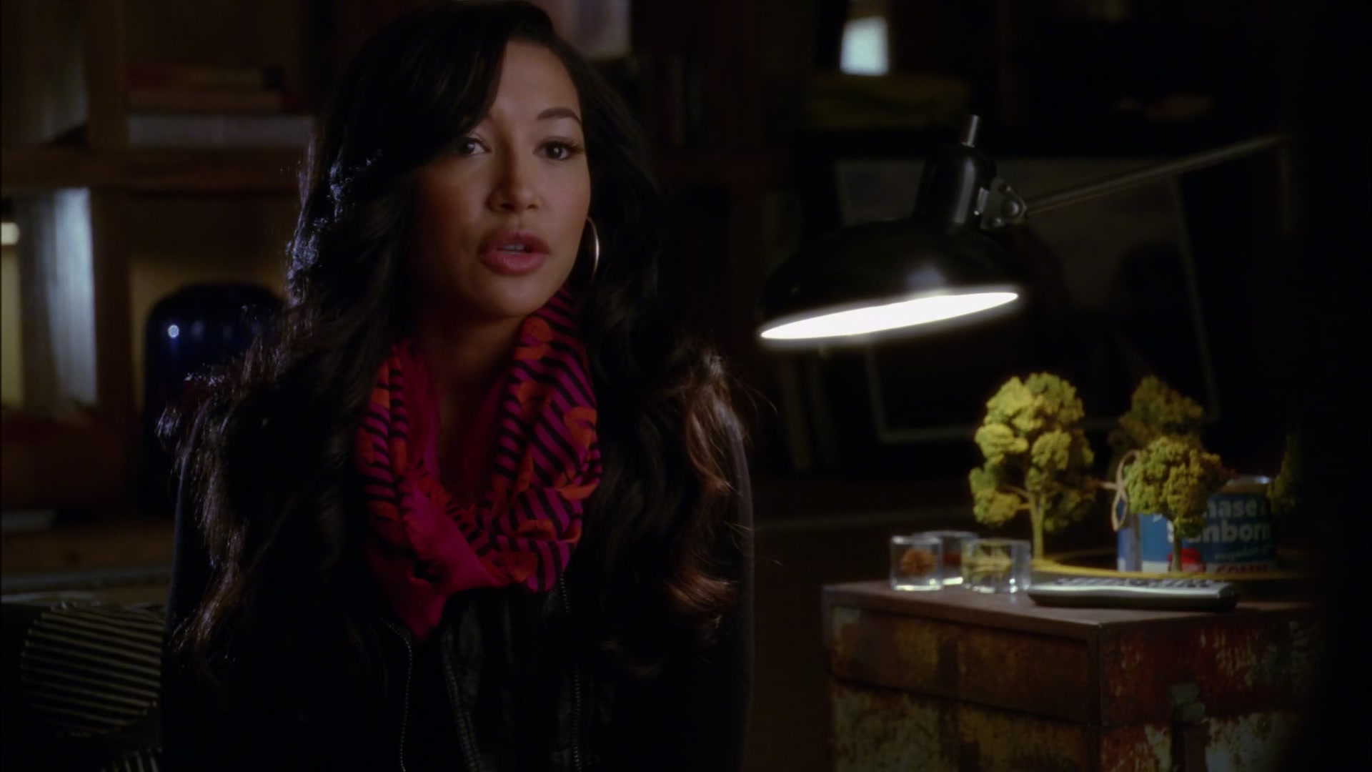 Glee412-0805.jpg