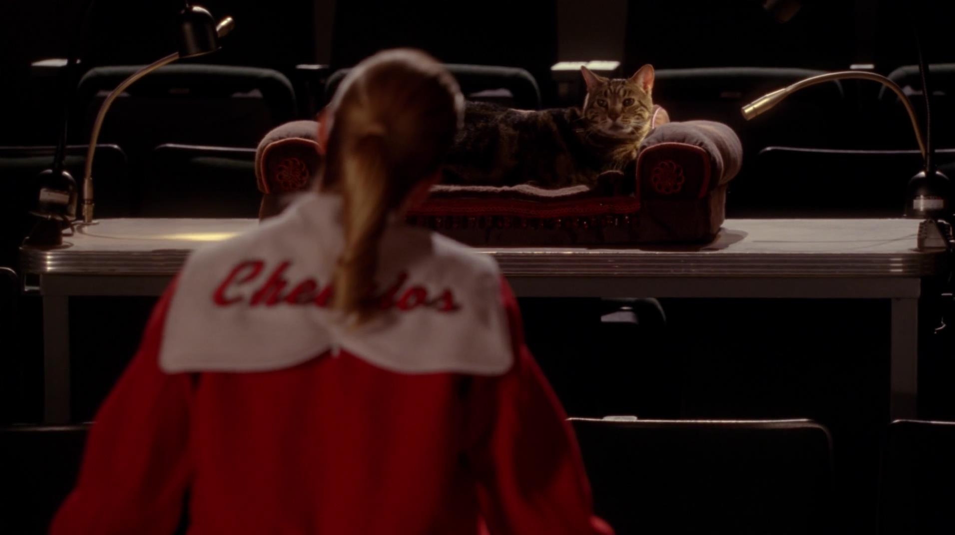 Glee_0290.jpg