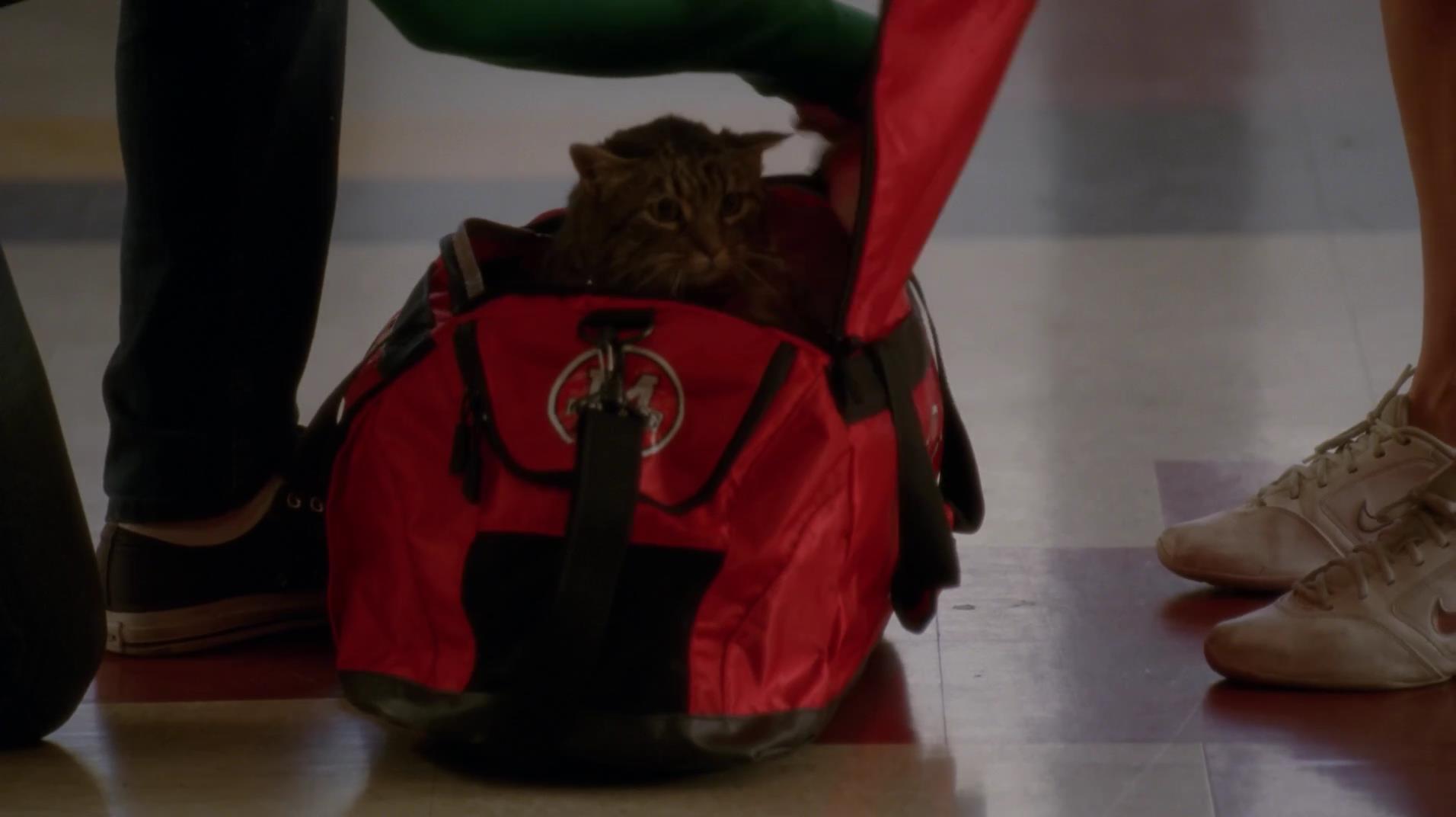 Glee_0920.jpg