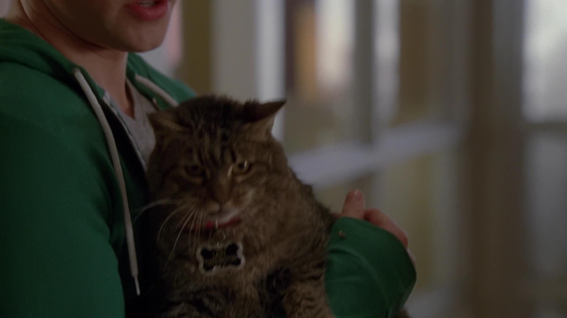 Glee_0922.jpg