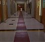 Glee_0509.jpg