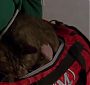 Filename=Glee_0921.jpg
Filesize=74KiB
Dimensions=1912x1072
Date added=Jun 25, 2013 Glee_0921.jpg