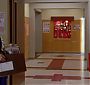 Glee_0980.jpg