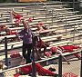 Glee_0645.jpg