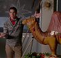Filename=1069.jpg
Filesize=183KiB
Dimensions=1912x1072
Date added=Oct 25, 2014 1069.jpg