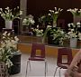 0596.jpg